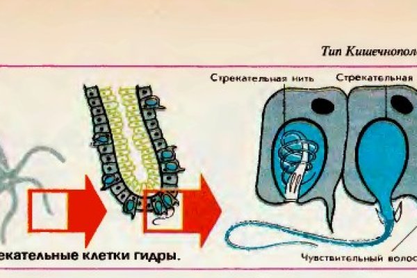Даркнет москва