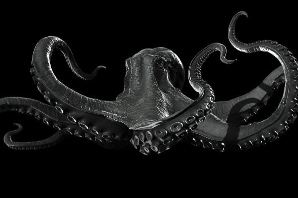 Kraken адрес