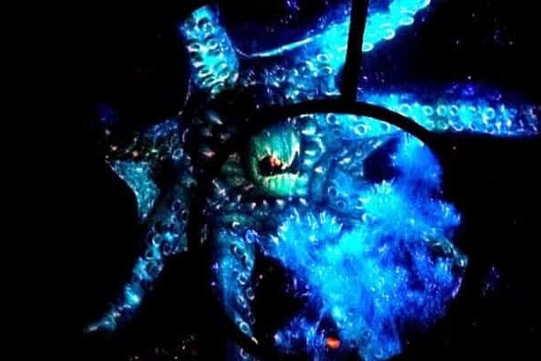 Kraken рабочий