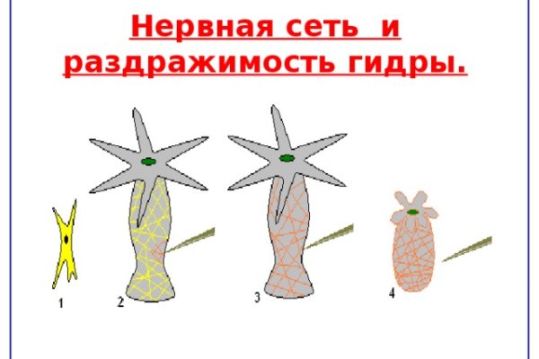 Кракен даркнет ссылка kraken link24 info