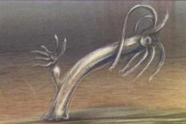 Ссылки для tor