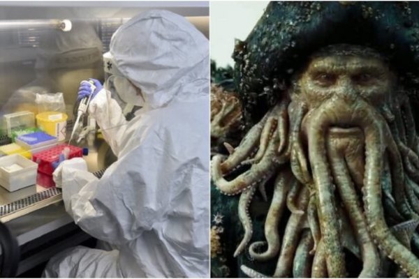 Kraken com зеркало