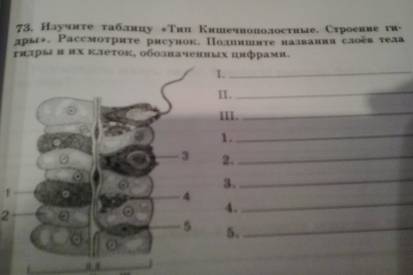Ссылка для входа на сайт kraken