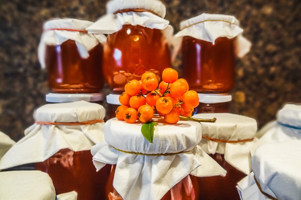 Сайт кракен рабочая ссылка