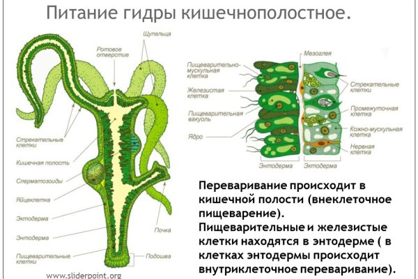 Кракен работает