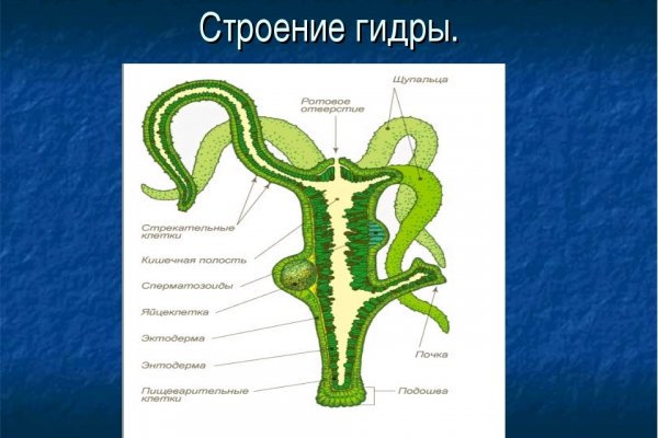 Кракен мага