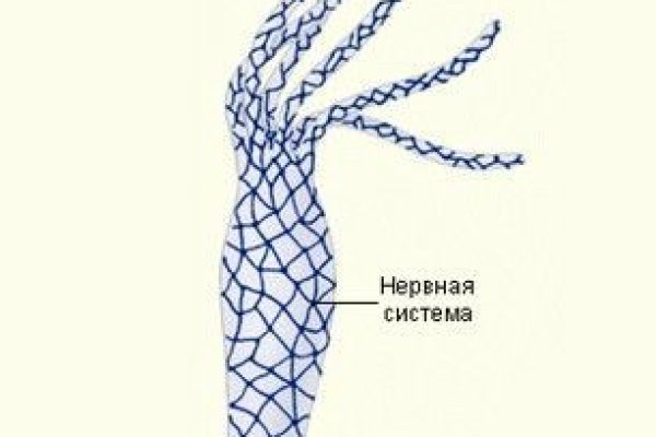 Kraken зеркало kraken dark link
