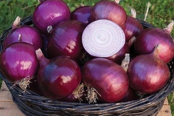 Где купить наркотиков