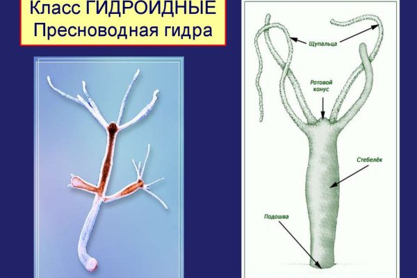 Кракен даркнет войти